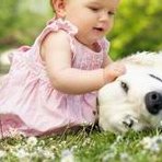 2026琼海最大的比较好的助孕公司，这三家都是不错的选择