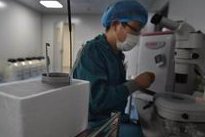 日本做三代试管婴儿多少费用？