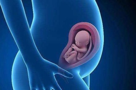 试管移植后，香蕉能吃吗？看这里，了解如何合理享用